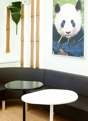 Panda interior 