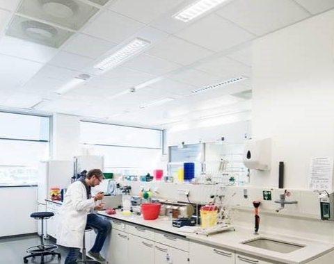 Lab.PNG