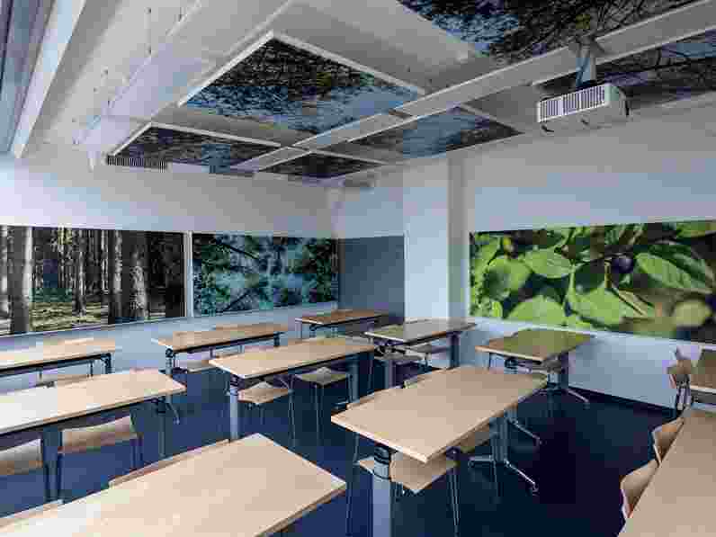 Printed, free-hanging acoustic ceiling panels and wall panels in classroom