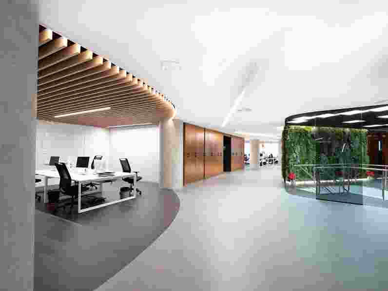 Zona de trabajo en oficina diáfana con techo acústico suspendido blanco, lamas de madera y pared con plantas al fondo.