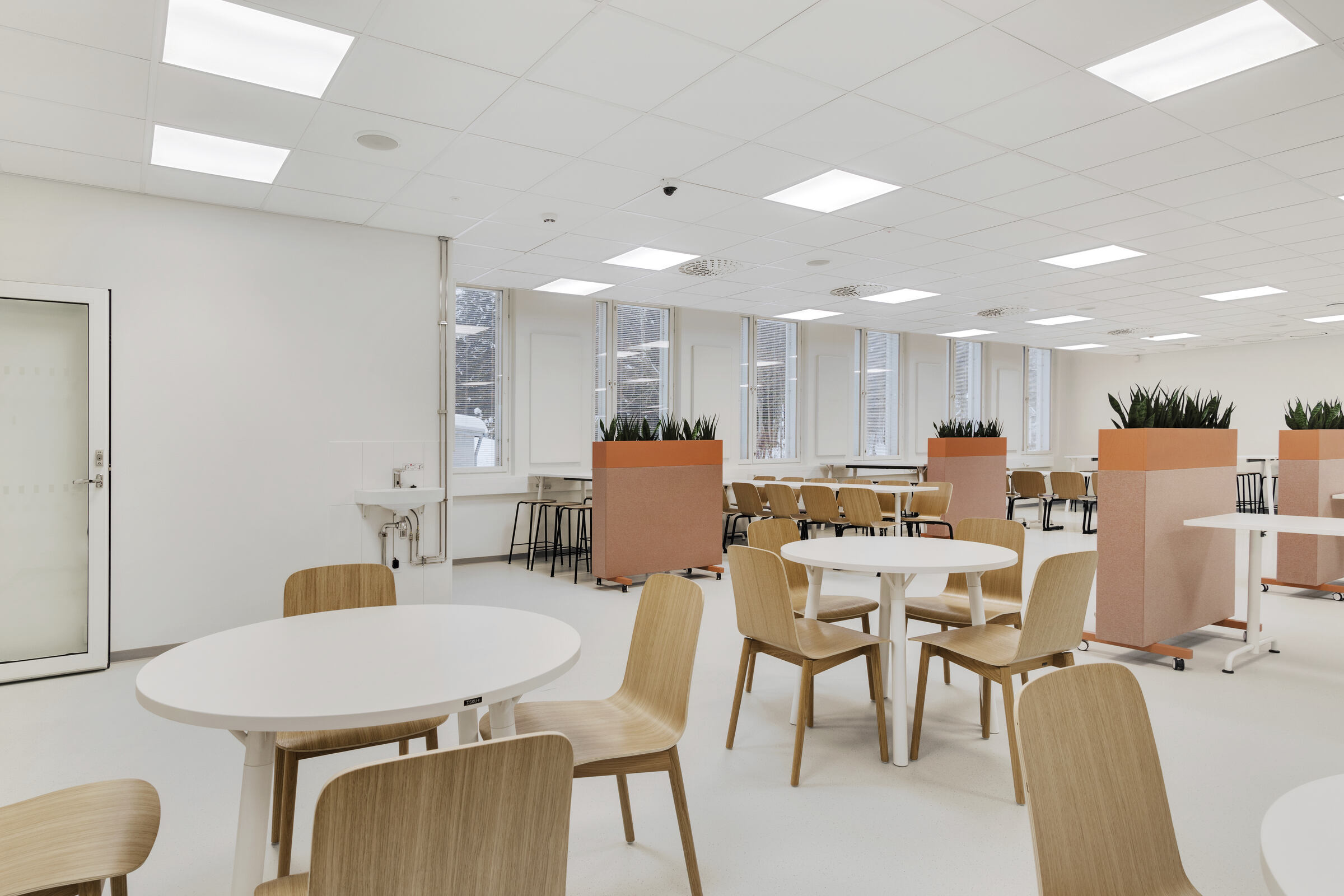 Opetustiloja Hämeenlinnan yhteiskoulussa. Tiloissa on ääntä vaimentava Ecophonin akustiikkakatto.