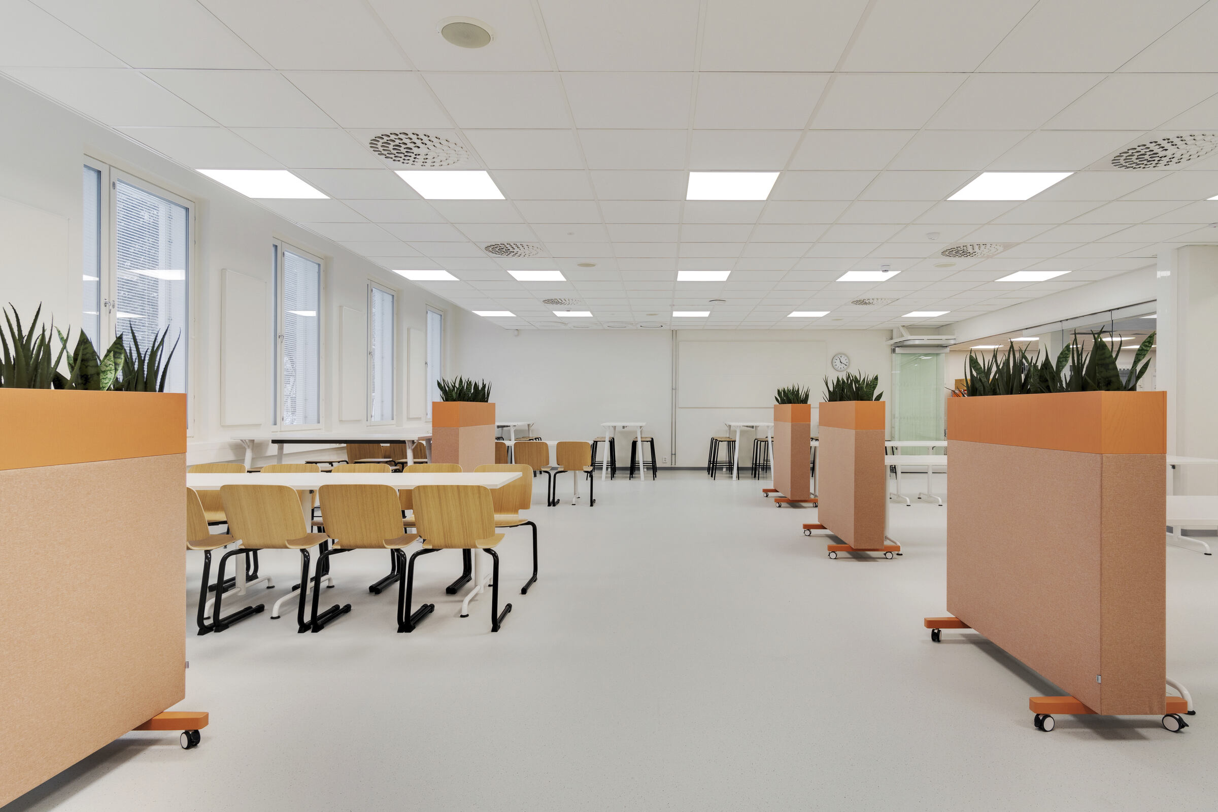 Opetustiloja Hämeenlinnan yhteiskoulussa. Tiloissa on ääntä vaimentava Ecophonin akustiikkakatto.