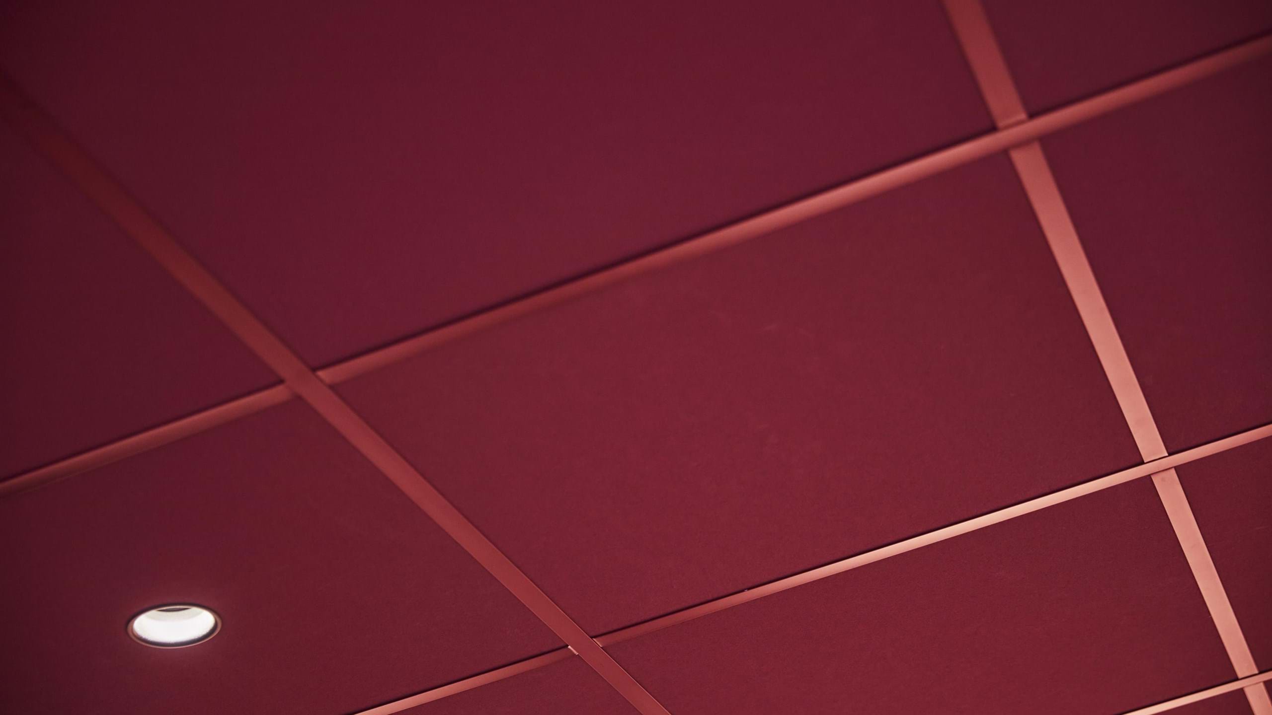 Suspended ceilings and ceiling tiles | Acoustic solutions | Ecophon