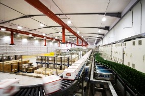 Acoustic ceiling in room with conveyor belt