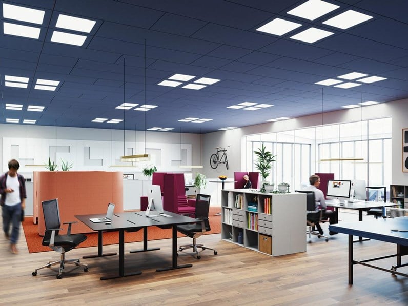 Open plan office with blue acoustic ceiling with integrated lighting
