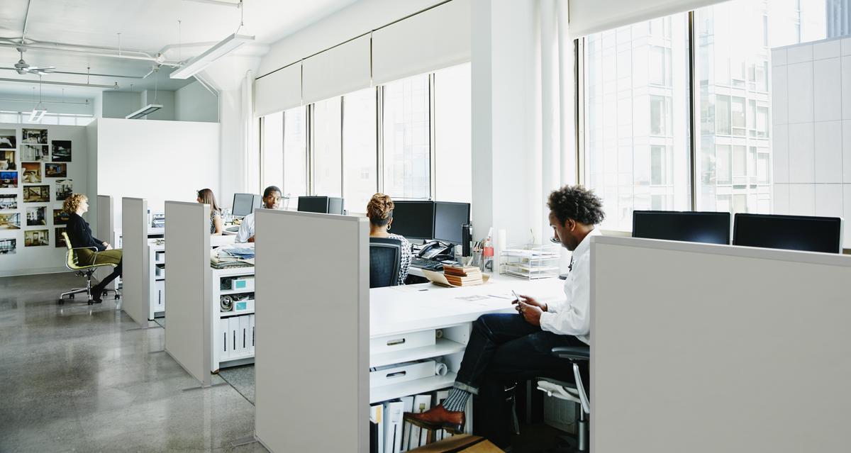 Open space office with work spaces divided by acoustic screens
