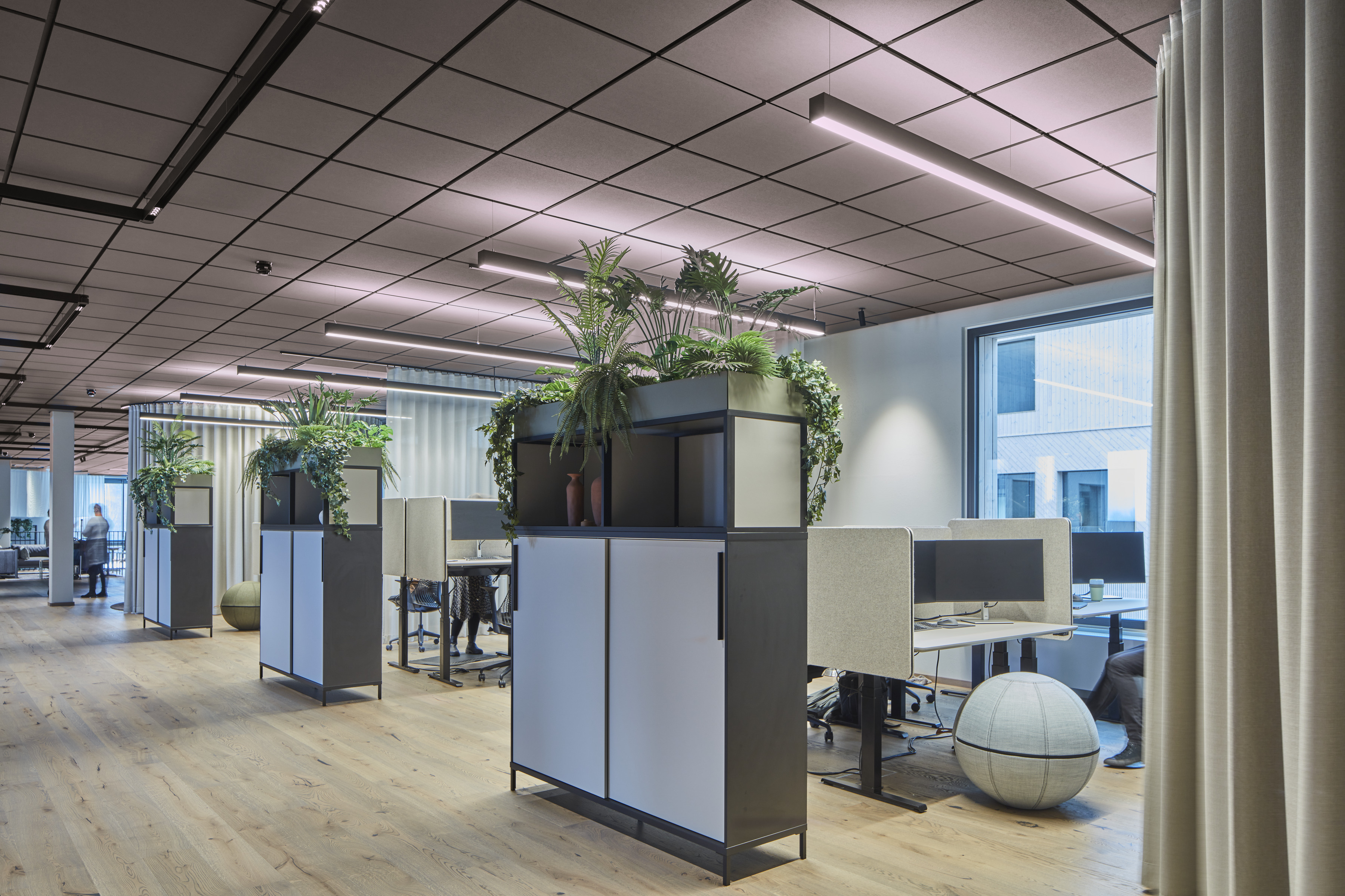 A modern open-plan office with light wood floors, partitioned desks, potted plants on storage cupboards, and large windows letting in natural light. An exercise ball is used as a chair at one desk.