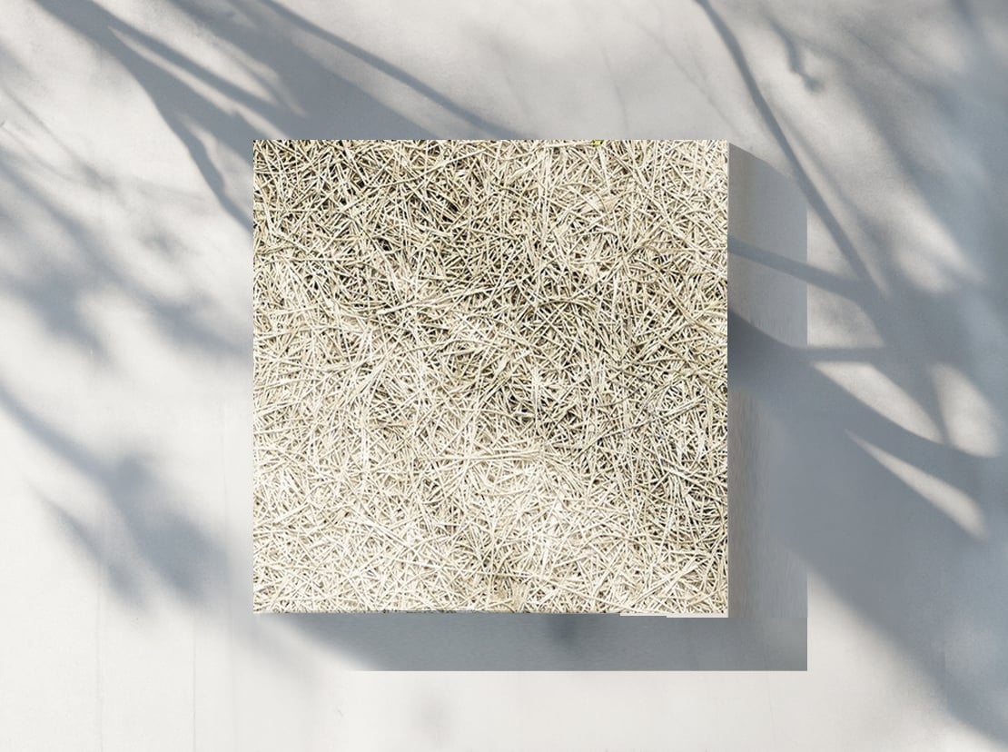 Wood wool panel in natural colour on a background with shadows from a tree